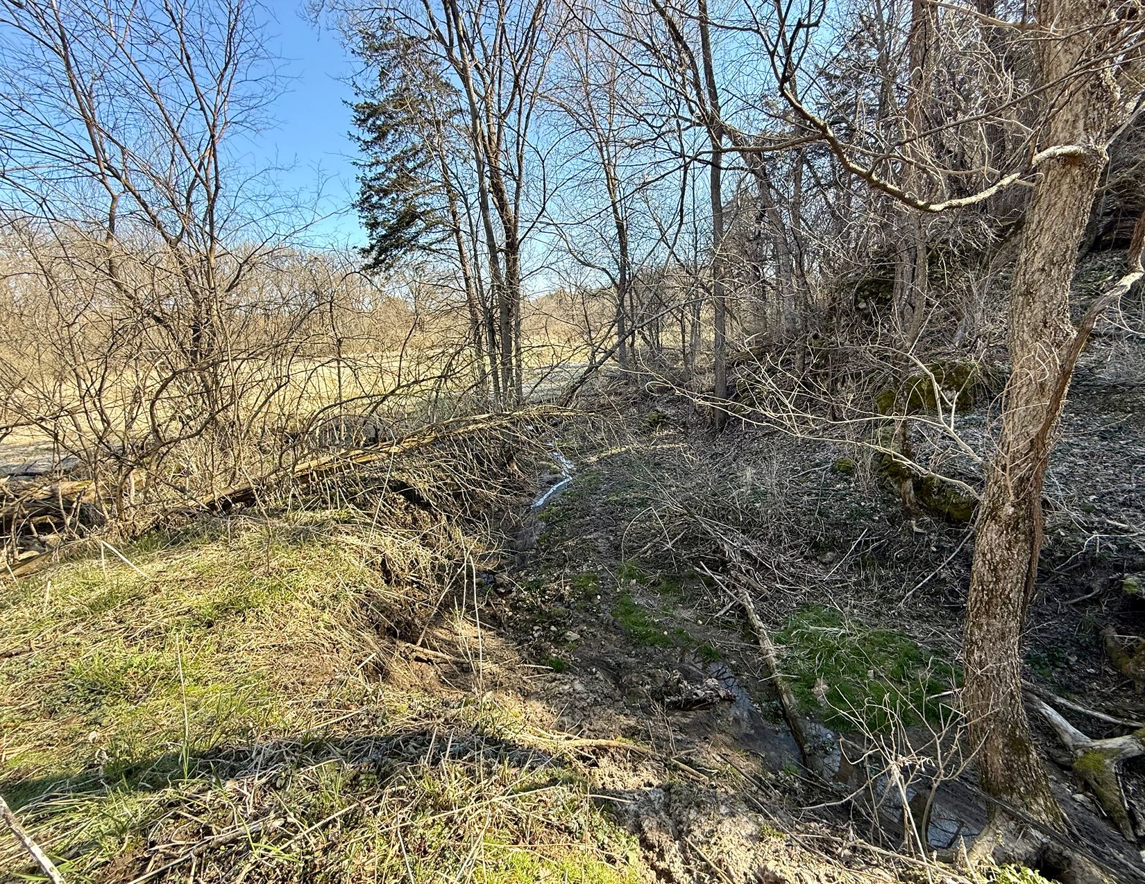 Listing Photo: Photo Apr 07 2026, 9 47 38 AM